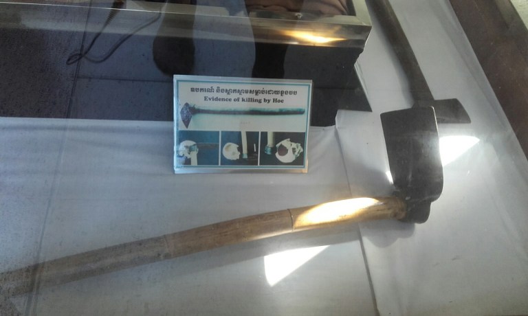 wp-1447597801481 image