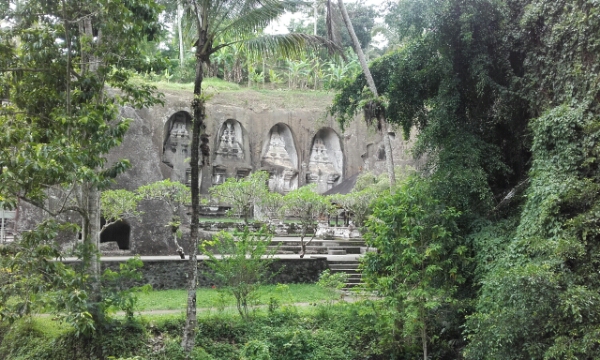 wp-1451438729360 image