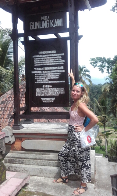 wp-1451438854002 image