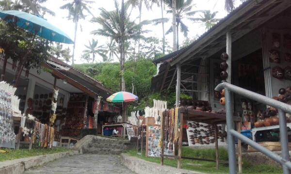 wp-1451438867971 image