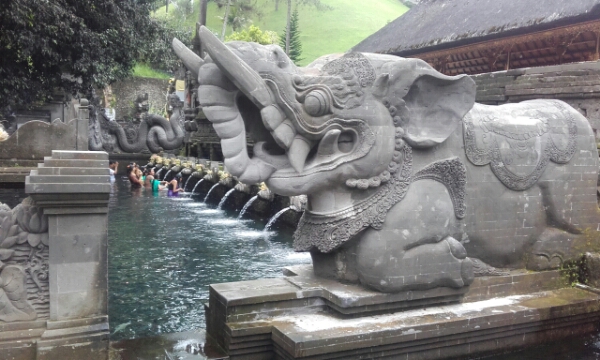 wp-1451438961161 image