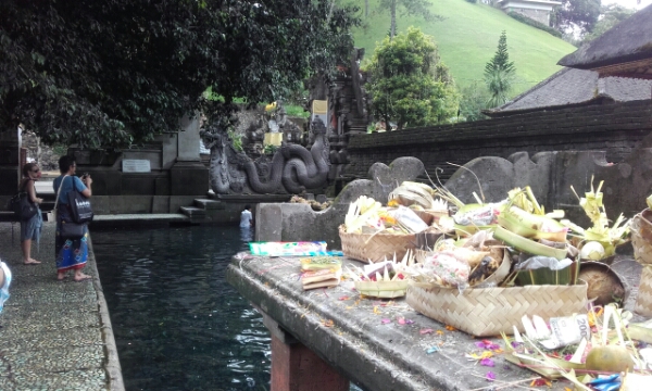 wp-1451439006625 image