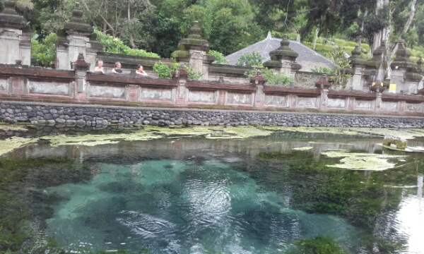 wp-1451439016307 image