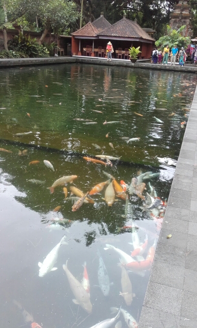 wp-1451439026318 image