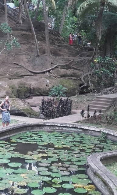 wp-1451439065336 image