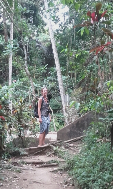 wp-1451439178789 image