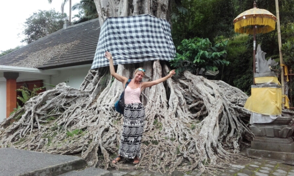 wp-1451439198240 image