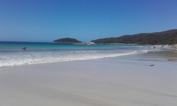 wp-1451757213632 image