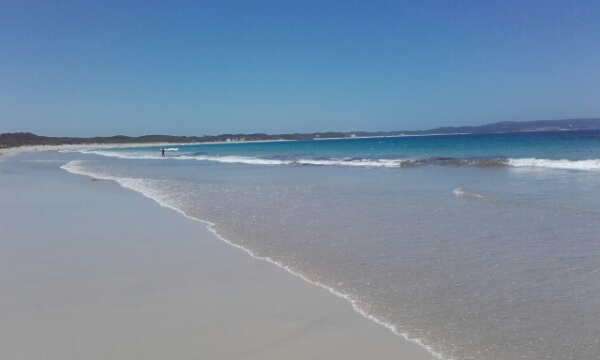 wp-1451757232137 image