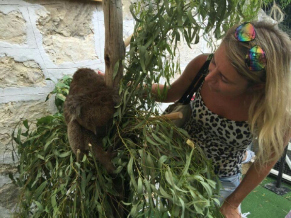 wp-1452275119028 image