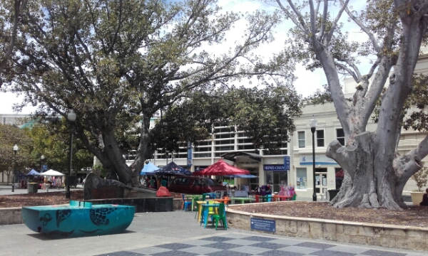 wp-1452275248171 image