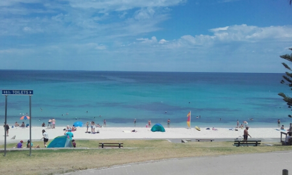 wp-1452275472973 image