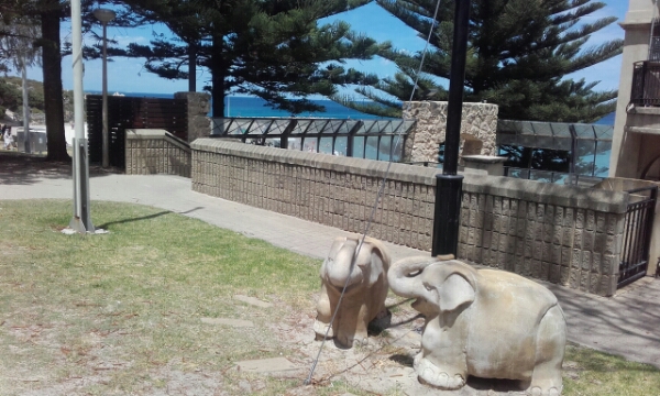 wp-1452275489639 image