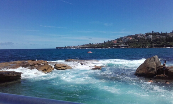 wp-1453168287041 image