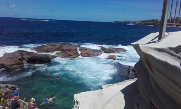 wp-1453168338292 image