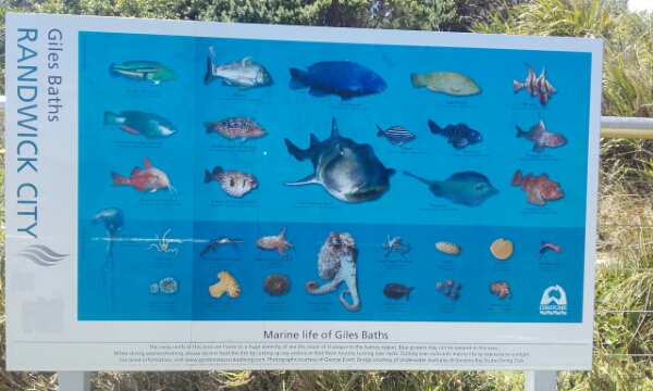 wp-1453274060073 image