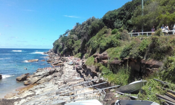 wp-1453274123650 image