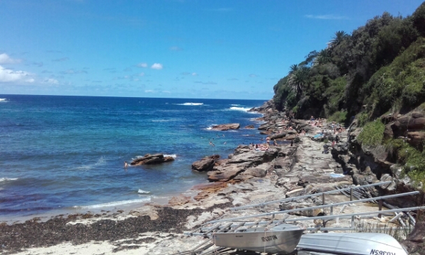 wp-1453274148052 image