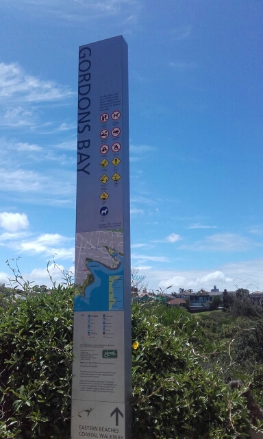 wp-1453274178316 image