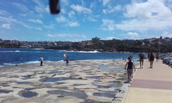 wp-1453274241979 image