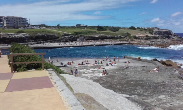 wp-1453274271988 image