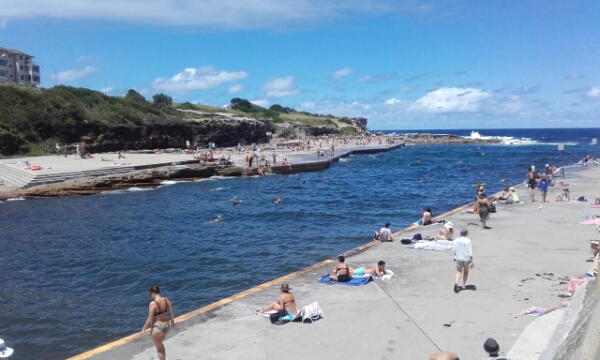 wp-1453274300671 image