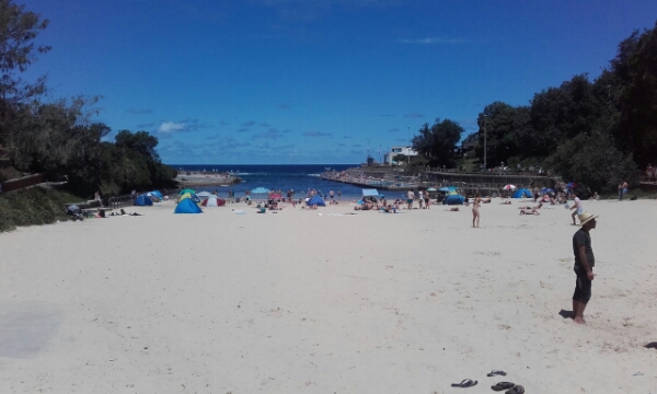 wp-1453274330748 image