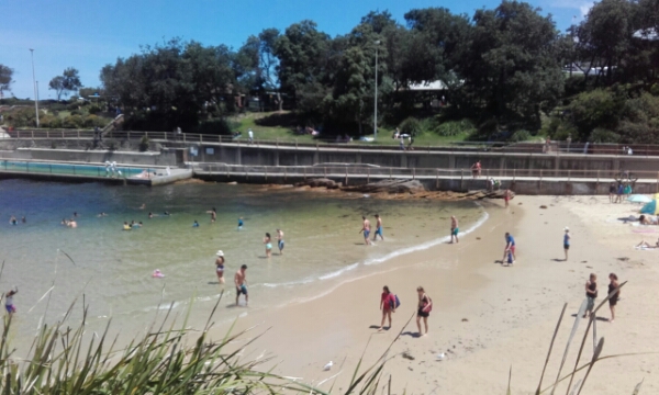 wp-1453274347141 image