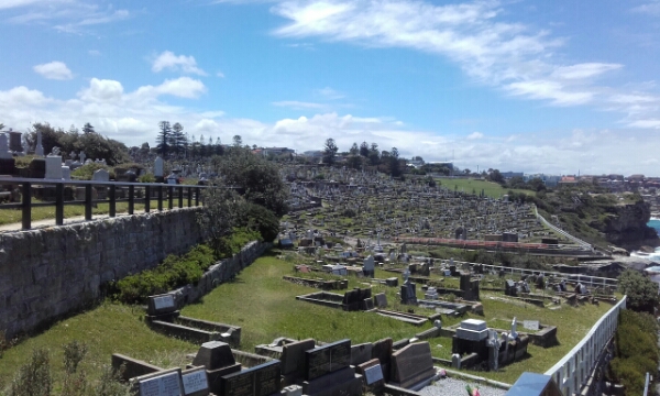 wp-1453274447750 image