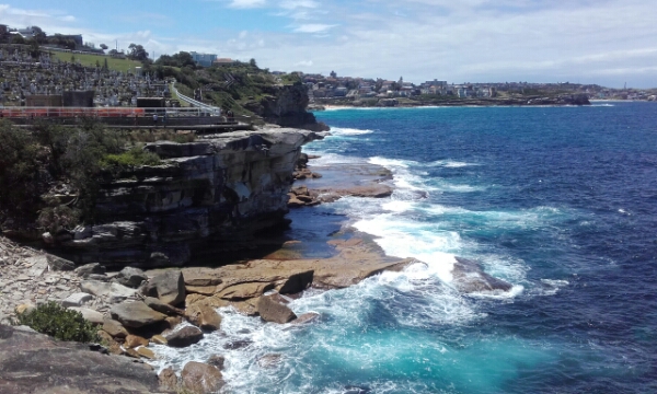 wp-1453274473471 image