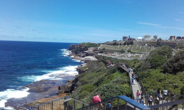 wp-1453274544346 image