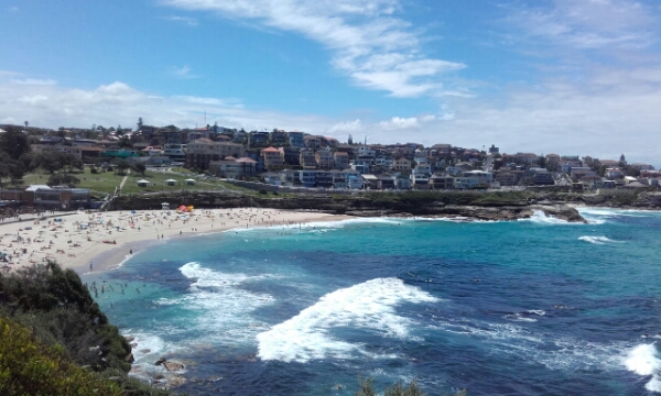 wp-1453274579540 image