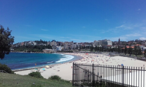 wp-1453274752792 image