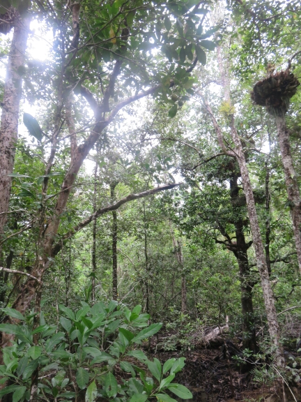 wp-1457975982532 image