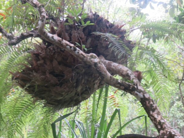 wp-1457975990910 image