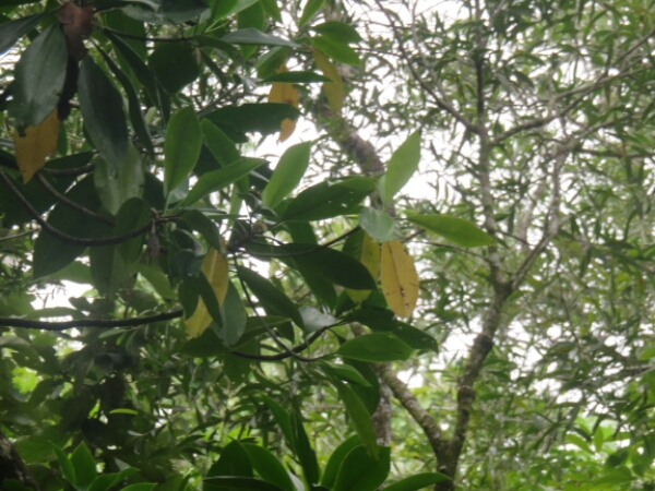 wp-1457976011352 image