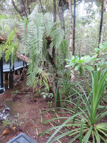 wp-1457976030080 image