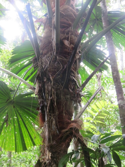 wp-1457976041264 image