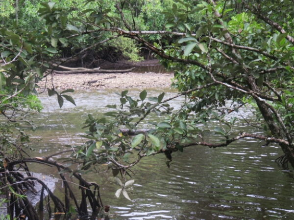 wp-1457976089080 image