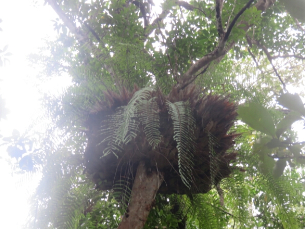 wp-1457976162145 image