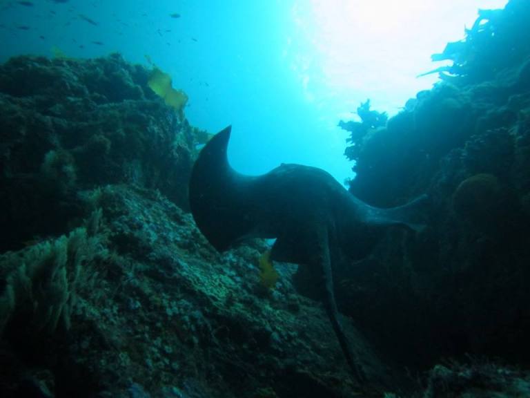 12985371_10156970509180128_3241118903454421034_n