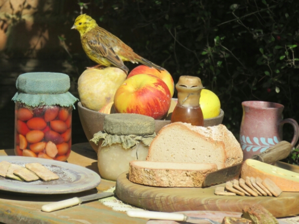 wp-1461727984916 image