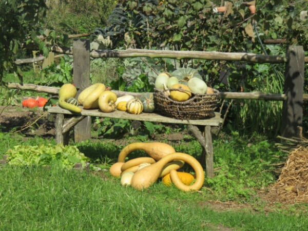 wp-1461728000106 image