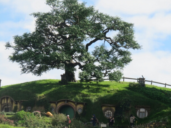 wp-1461728013103 image