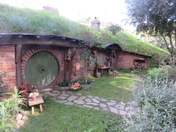 wp-1461728021379 image