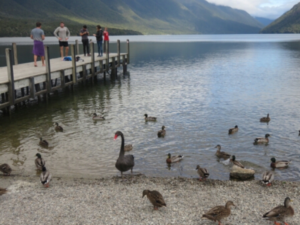 wp-1462491389778 image