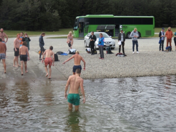 wp-1462491424782 image