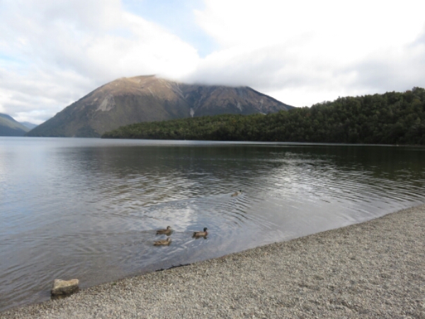 wp-1462491461947 image