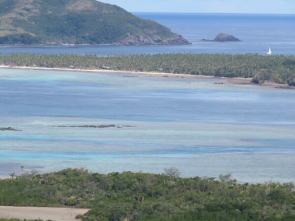 wp-1464300375861 image