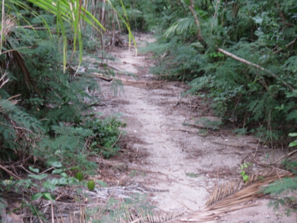 wp-1464300496916 image